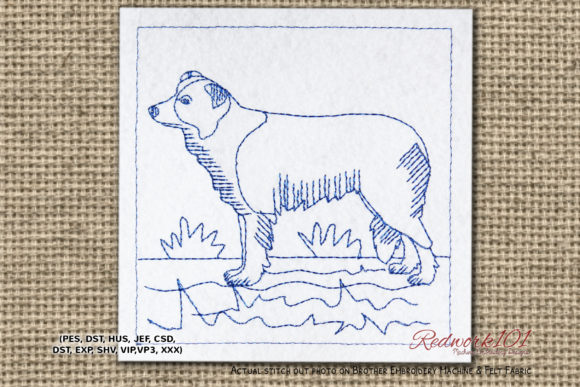 Border Collie Dog Design Review