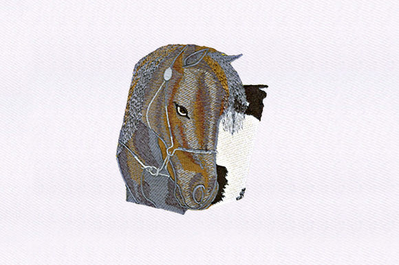 Gazing Horse: A Boutique Sweatshirt Embroidery Review